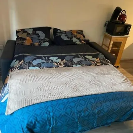 Studio-croix Daurade * Tuluza